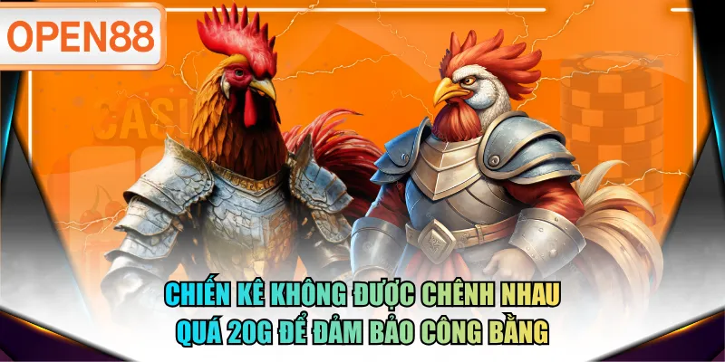 Chiến kê không được chênh nhau quá 20g để đảm bảo công bằng